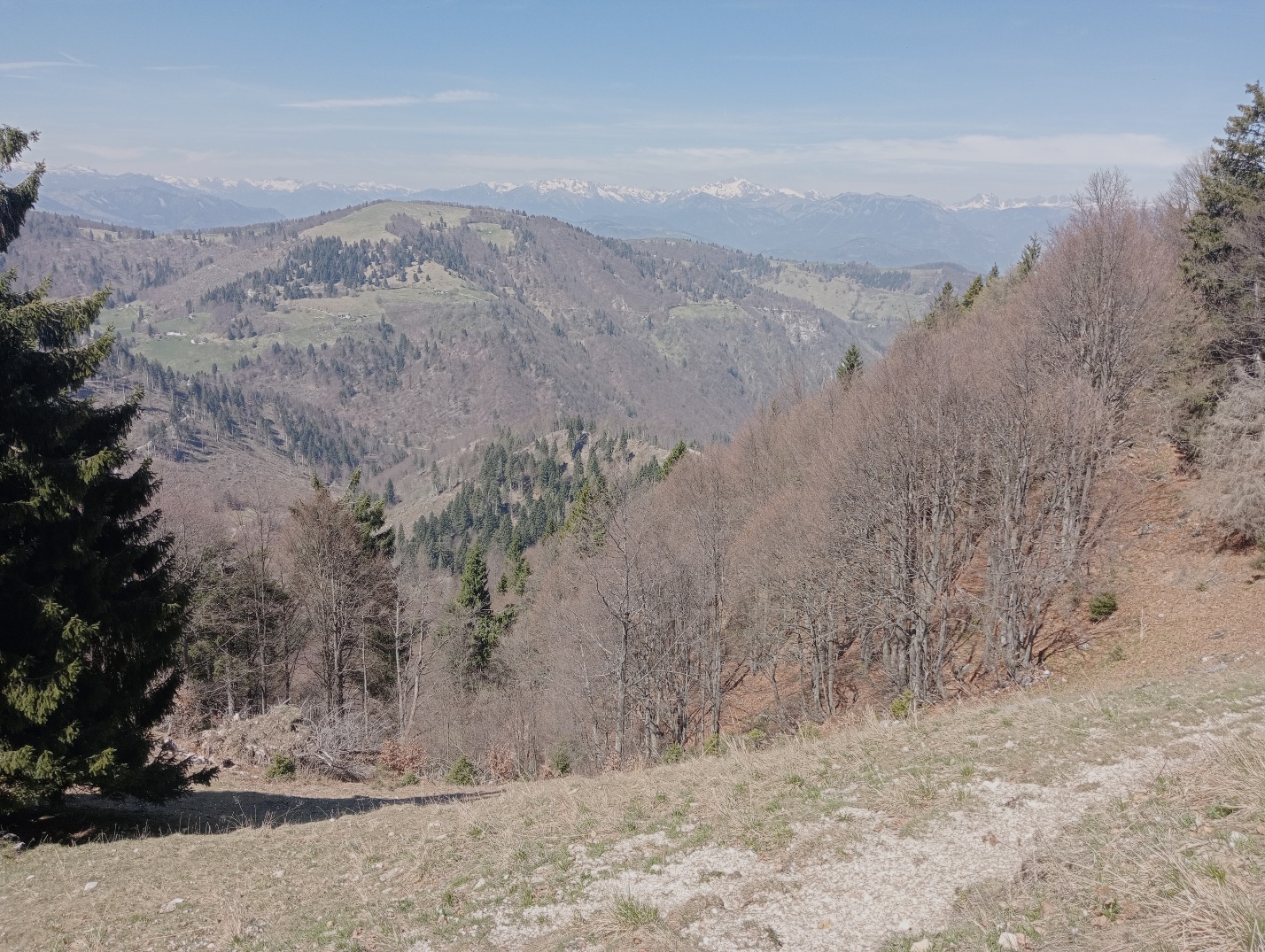 IMG20240414132144