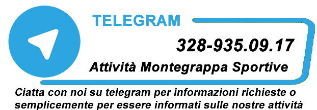numero telegram