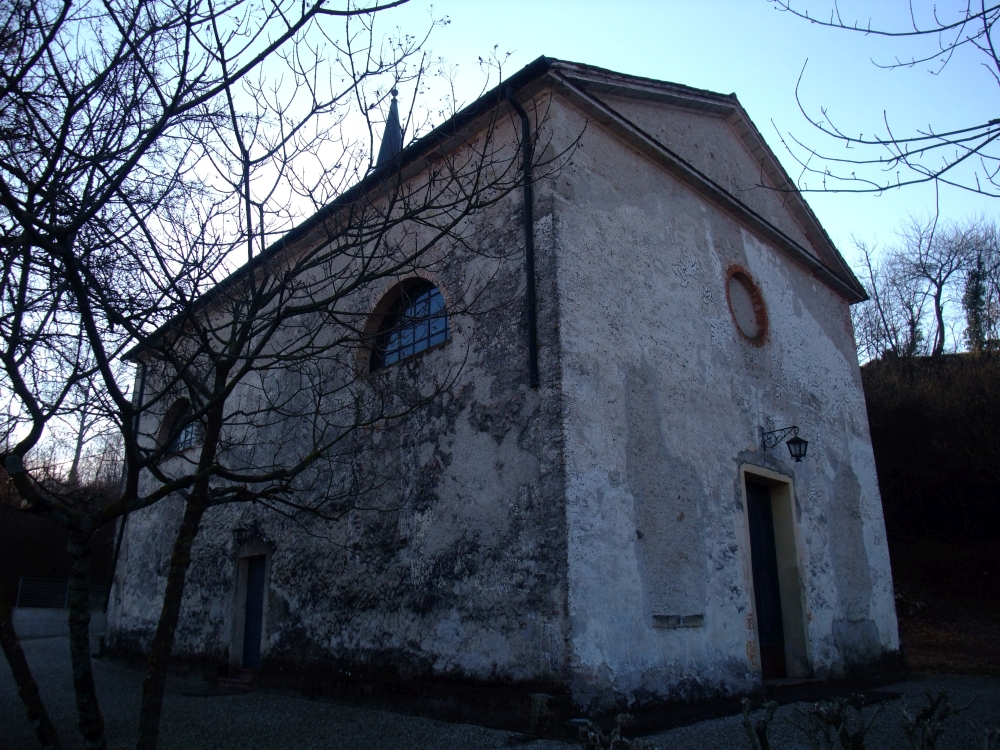 pisani2