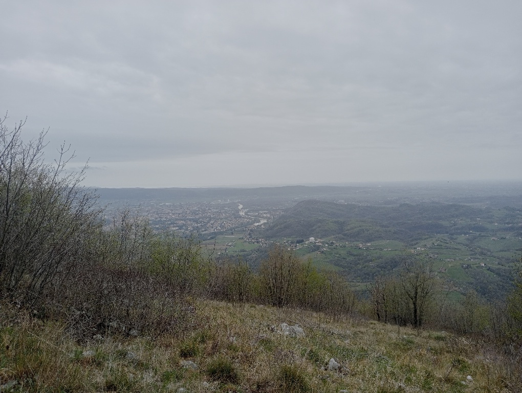 IMG20240329104958